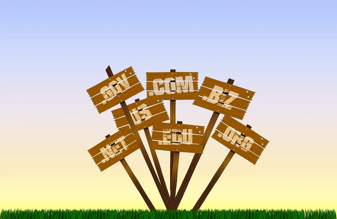 Ce este un domeniu web și cum funcționează